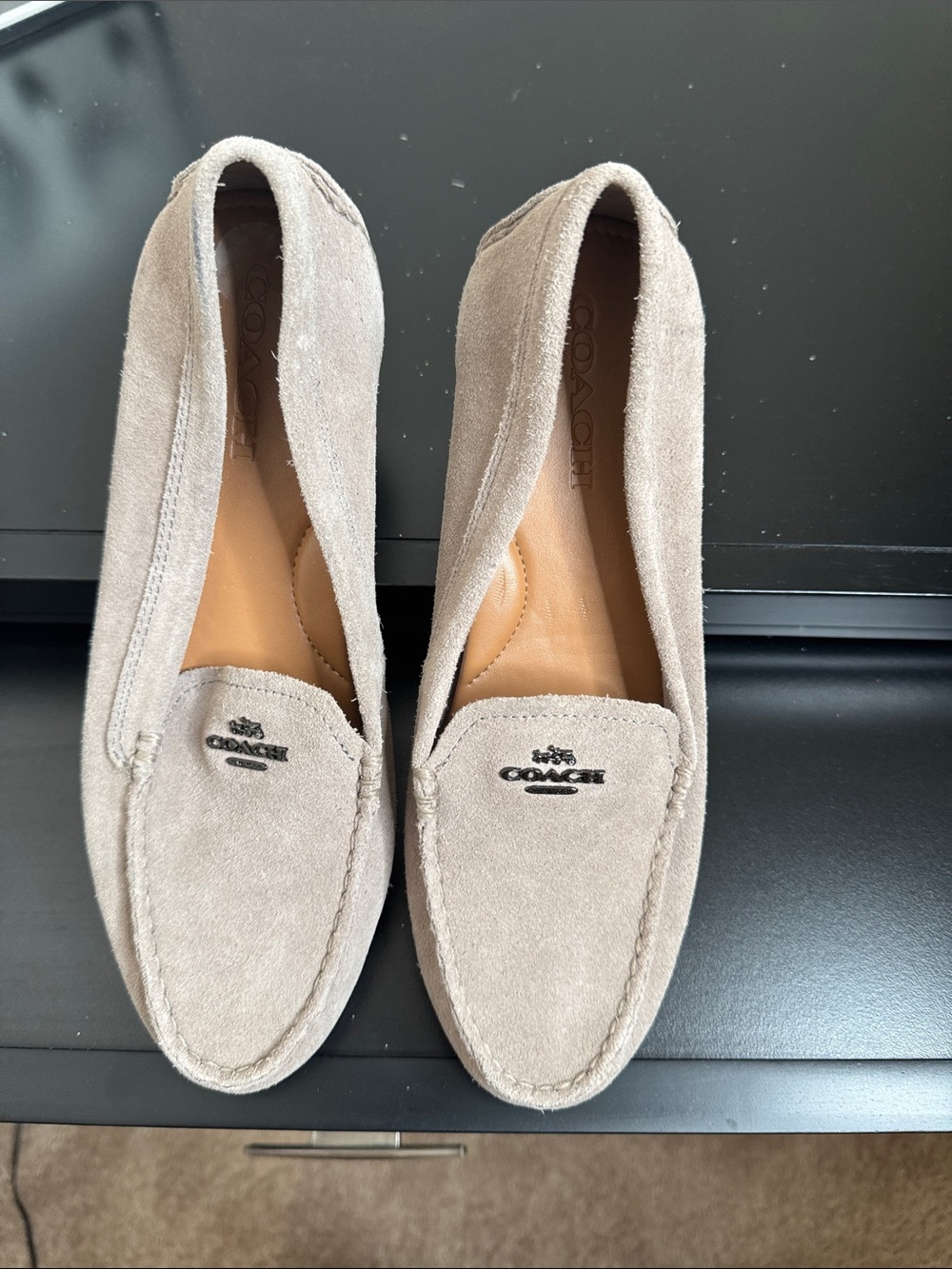 COACH Suede Penny Loafers in Taupe